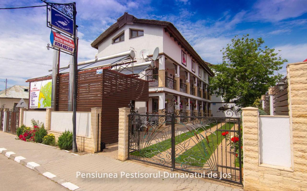 Pensiunea Pestisorul Дунавецу-де-Жос Екстер'єр фото